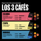 Espresso Journey Pack | 3x250g | Specialty Coffee